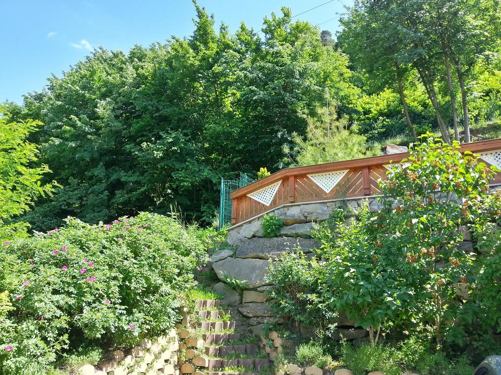 Gastehaus Zur Schonen Aussicht Bed and Breakfast Spitz an der Donau Exterior foto